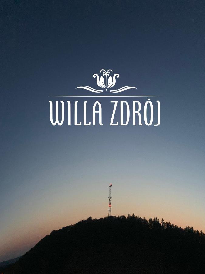Willa Zdroj Кудова-Здруй Экстерьер фото